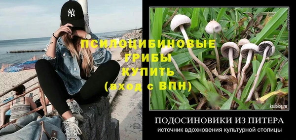 спиды Алексин