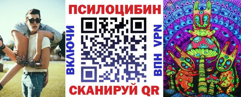 купить наркотики цена  Всеволожск  Галлюциногенные грибы мицелий 
