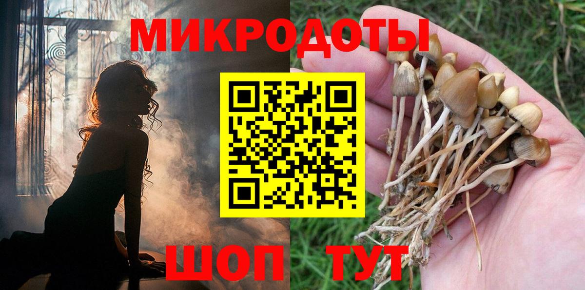 Псилоцибиновые грибы мухоморы Всеволожск
